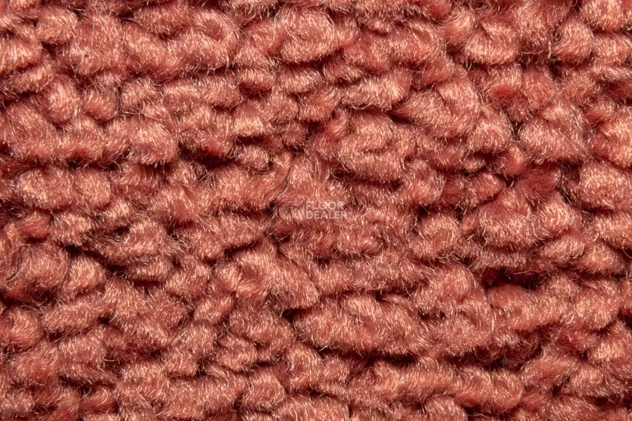 Vorwerk Superior 1067 Mira Vorwerk 1n49 фото 5 | FLOORDEALER